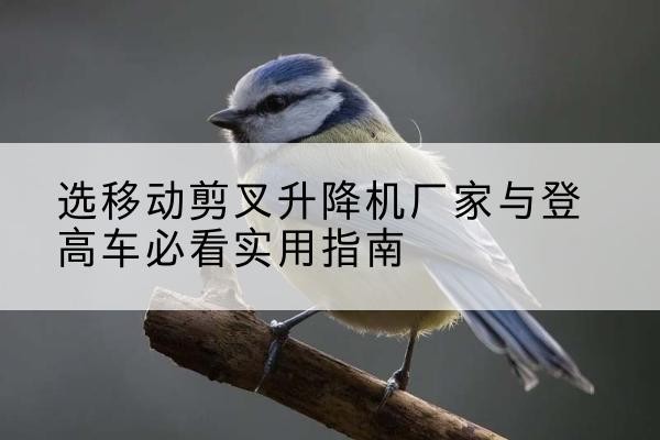 伊吾电动升降机厂家-选移动剪叉升降机厂家与登高车必看实用指南