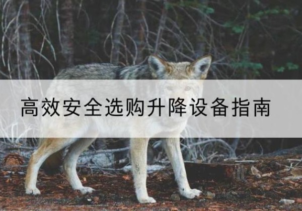 伊吾升降货梯厂家推荐-*安全选购升降设备指南